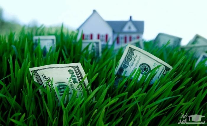 پول روی چمن