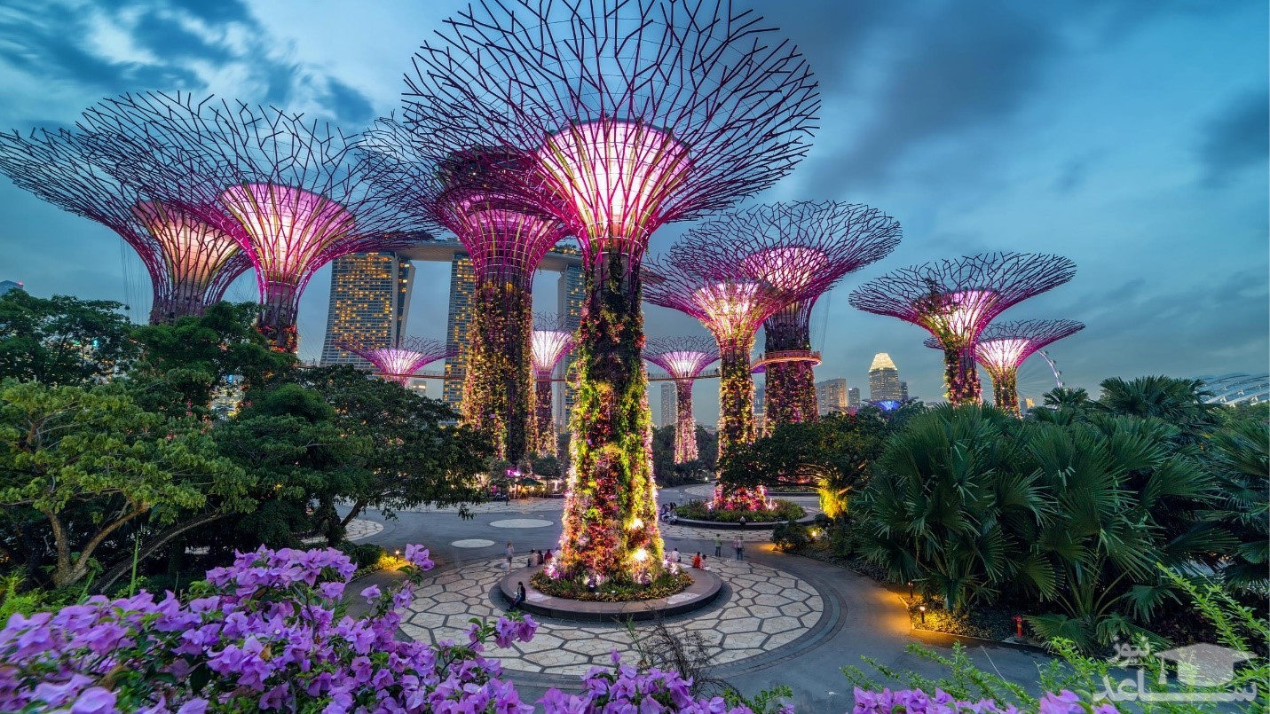 دلایل پیشرفت اقتصادی سنگاپور چیست؟