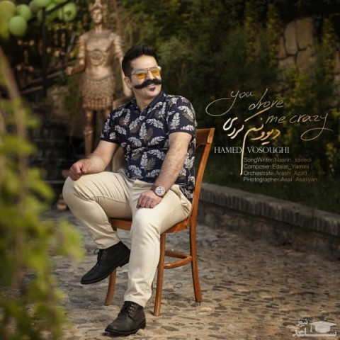 دانلود آهنگ دیوونم کردی از حامد وثوقی