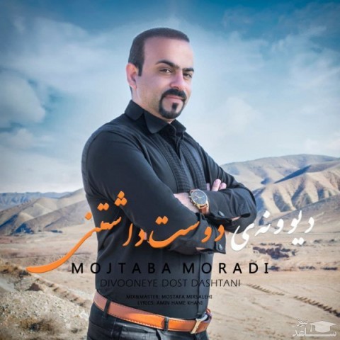 دانلود آهنگ دیوونه ی دوست داشتنی از مجتبی مرادی