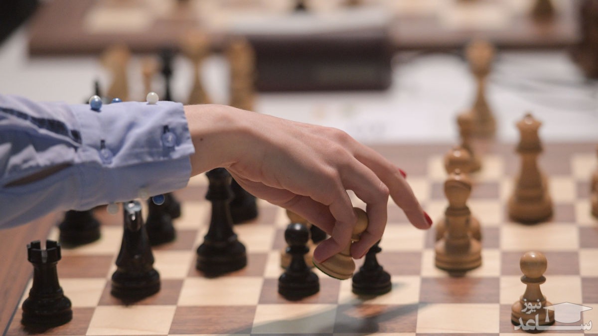 کارتون کنایه‌آمیز به باخت «برقیِ» شطرنج‌بازان