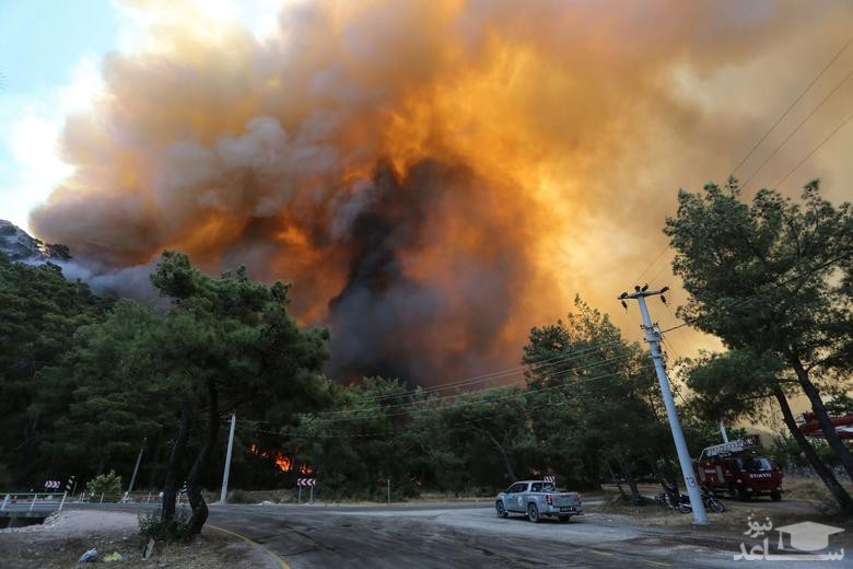آتش سوزی در جنگل های آنتالیا