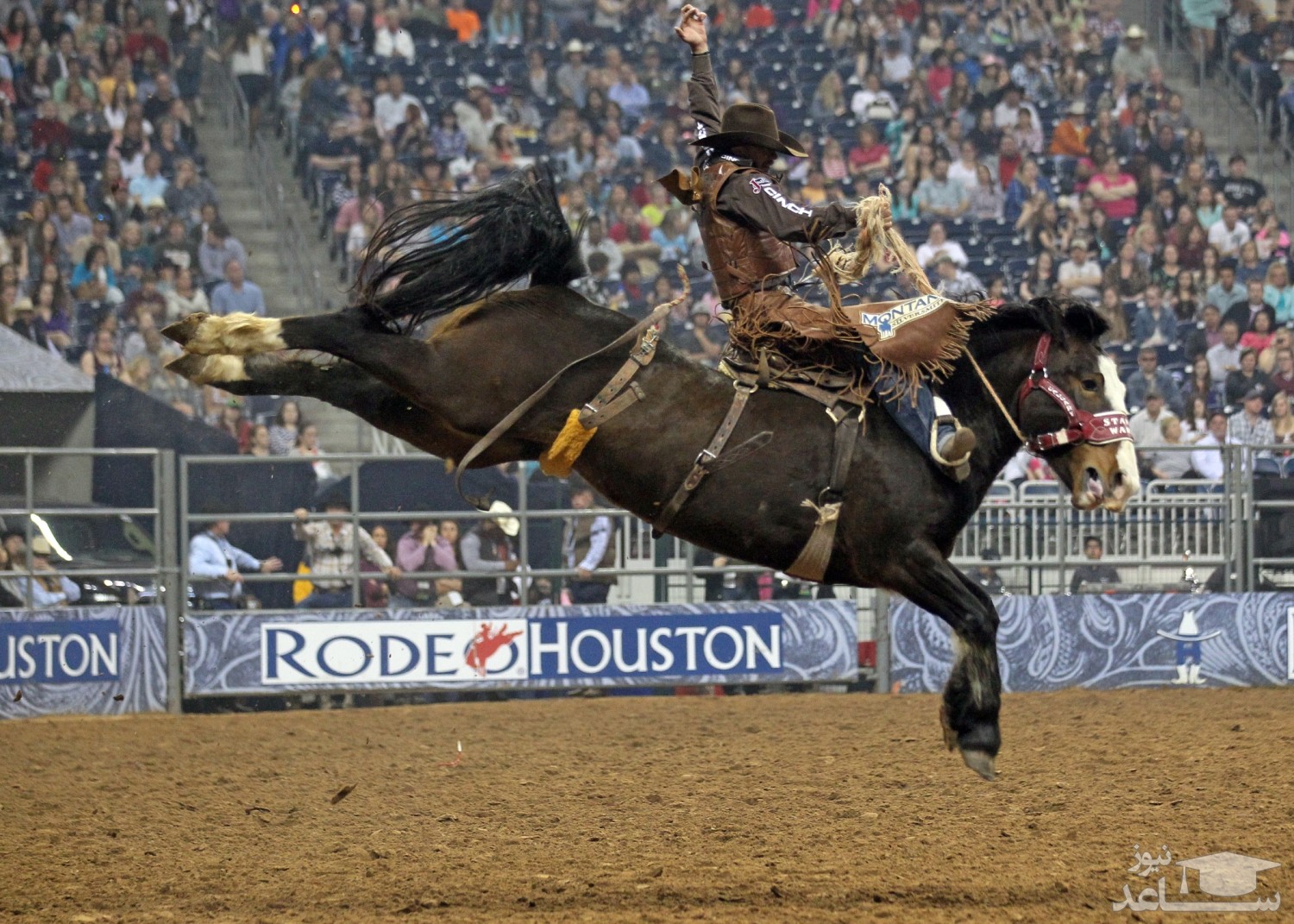 فستیوال کلگری استمپید