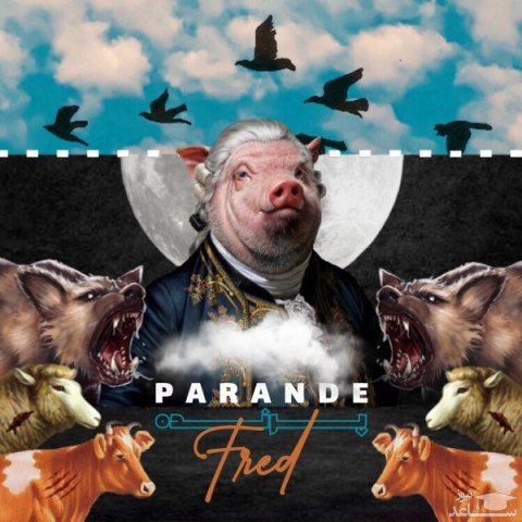 دانلود آهنگ پرنده از فرد