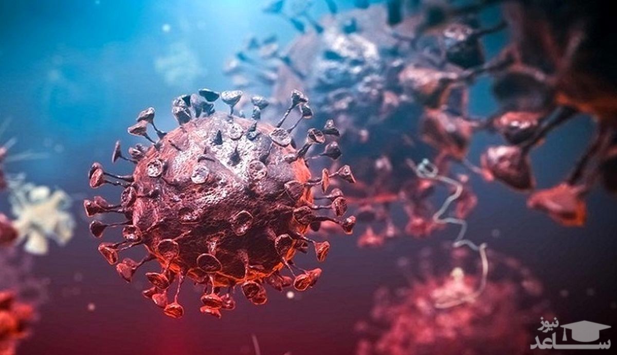 تازه ترین آمار مبتلایان و مرگ و میر ناشی از کرونا در 1 دی