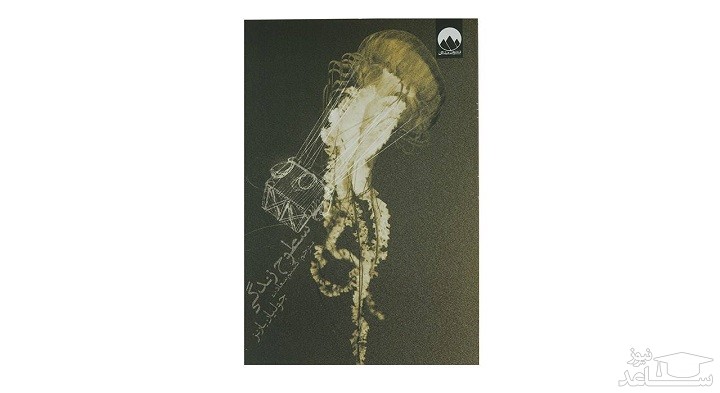 معرفی رمان سطوح زندگی اثر جولین بارنز