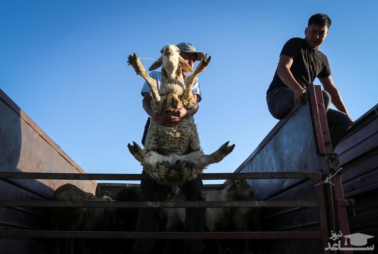 آیین های گرامیداشت عیدقربان در ممالک اسلامی