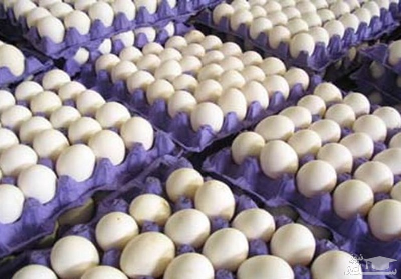 آیا عرضه تخم مرغ فله از بهمن ماه ممنوع خواهد شد؟