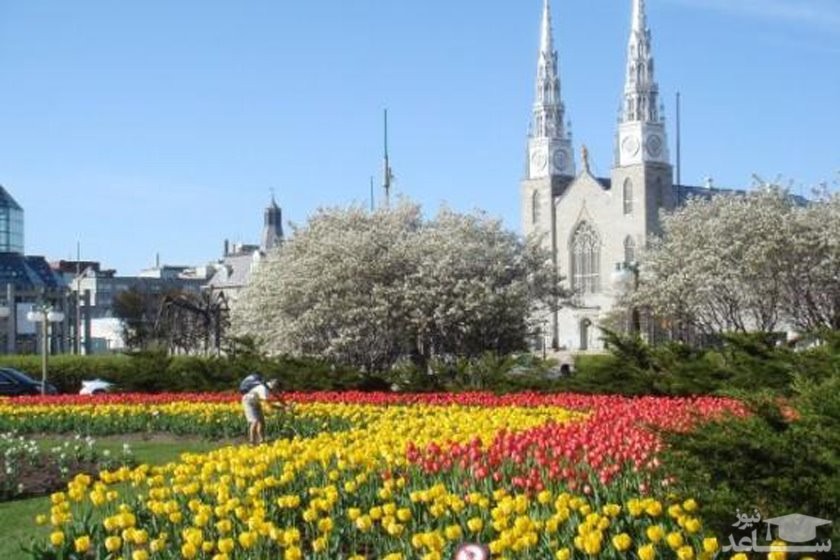 پارک میجرز هیل