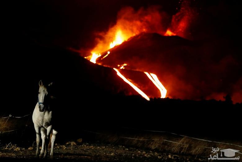 فعالیت آتشفشانی در جزیره "لاپالما" اسپانیا/ رویترز