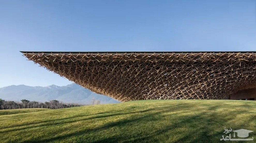 اثر برگزیده عکاسی