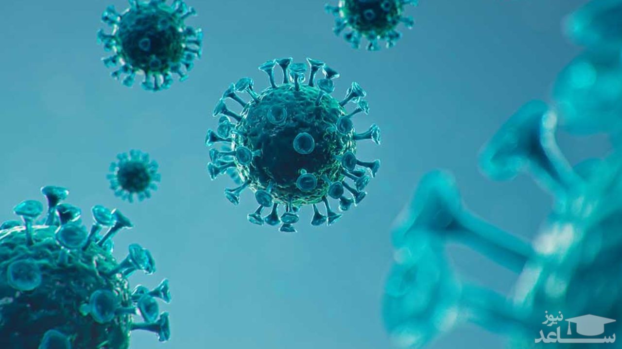 اینفوگرافیک/ آمار کرونا در جهان تا ۱۹خرداد