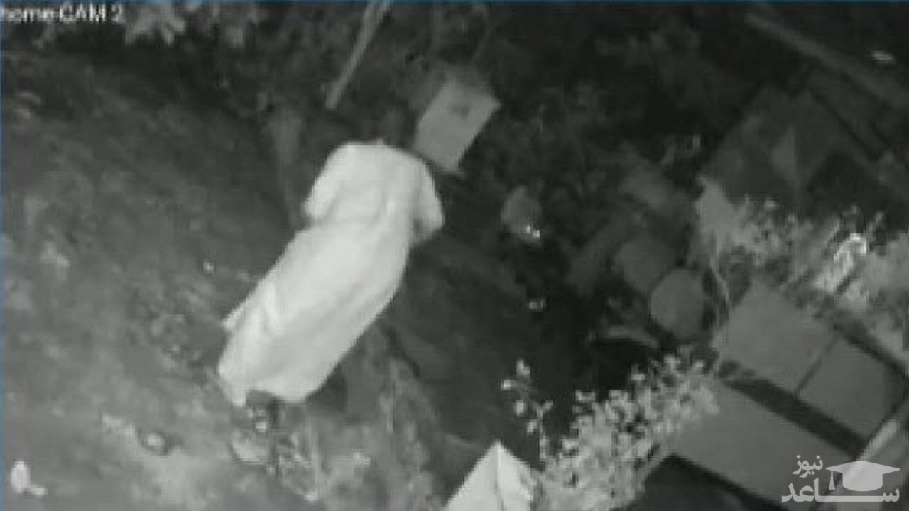 فرار پیرزن هندی از چنگال پلنگ