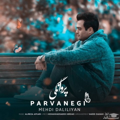 دانلود آهنگ پروانگی از مهدی دلیلیان