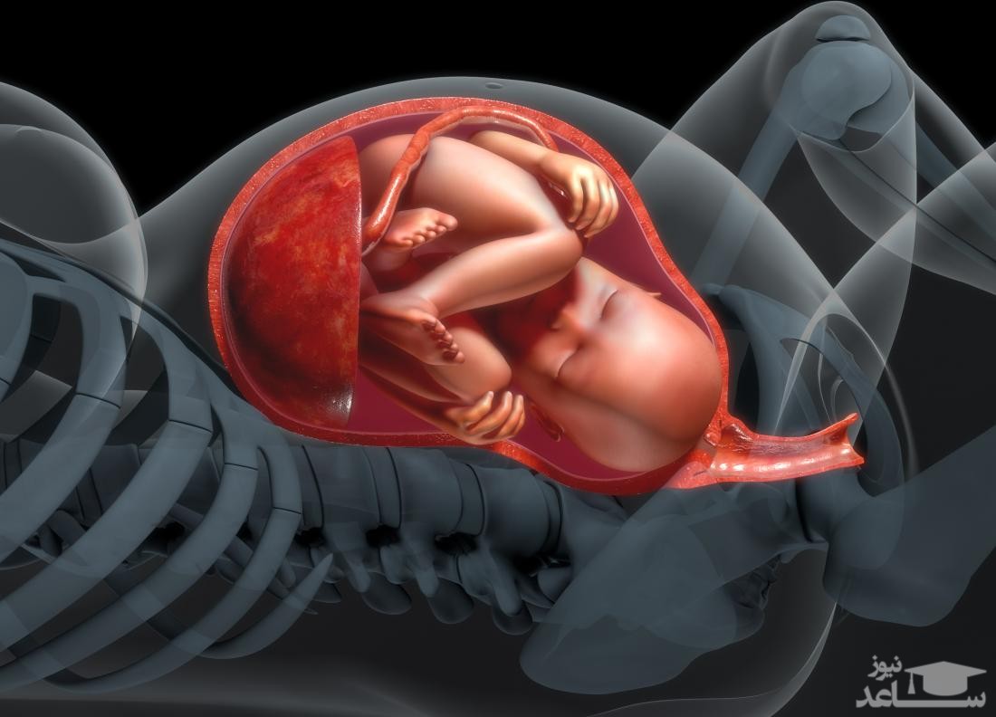 همه چیز درباره مایع آمنیوتیک در دوران بارداری