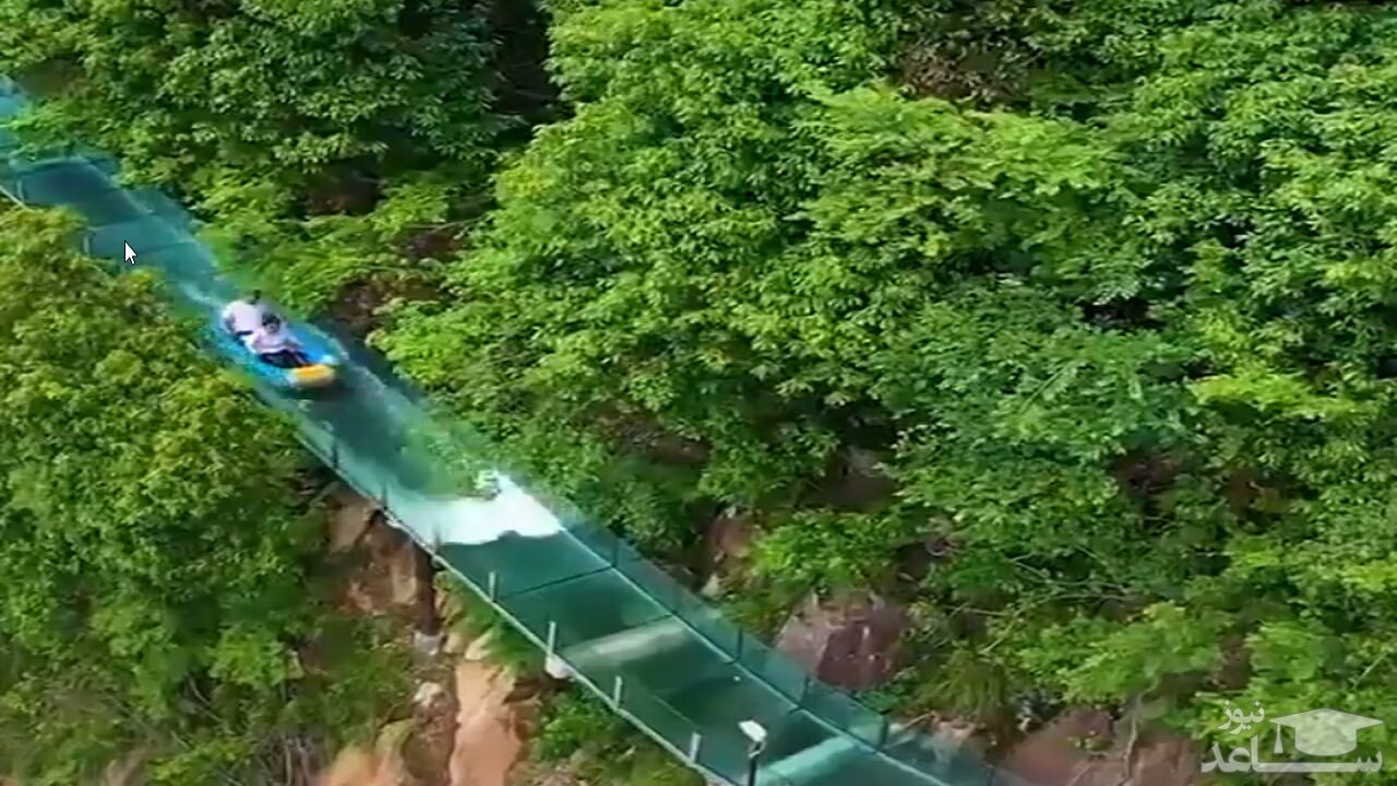 (فیلم) سرسره‌ای هیجان انگیز شیشه‌ای میان کوه و جنگل