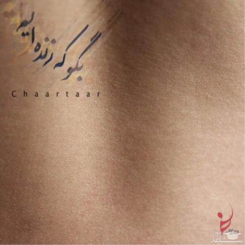 دانلود آهنگ بگو که زنده ایم از گروه چارتار