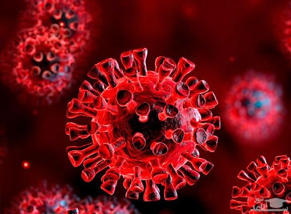 کرونا ۸۱درصد شاغلین را تحت تاثیر قرار داد