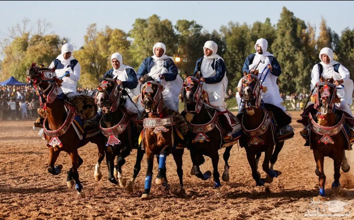برگزاری مسابقات سنتی اسب سواری در " مصراته" لیبی/ رویترز