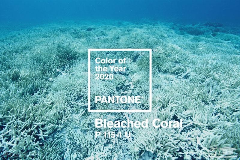 رنگ سال 1399/ رنگ مانتو ، رنگ مو و سفره تحویل سال 99 چه رنگی است؟