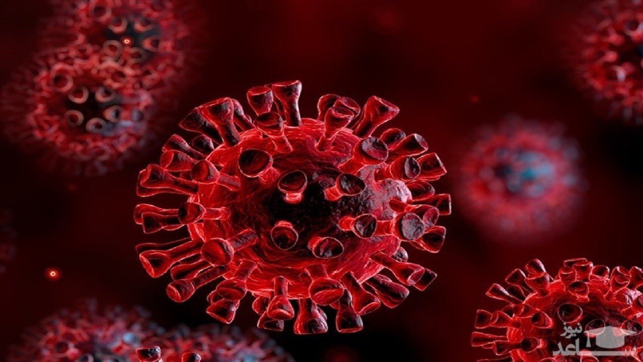 آخرین وضعیت کرونا در ایران/ ۷۲۹۰ بیمار کرونایی جدید در کشور شناسایی شد