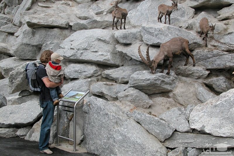 آلپنزو اینسبروک - تیرول