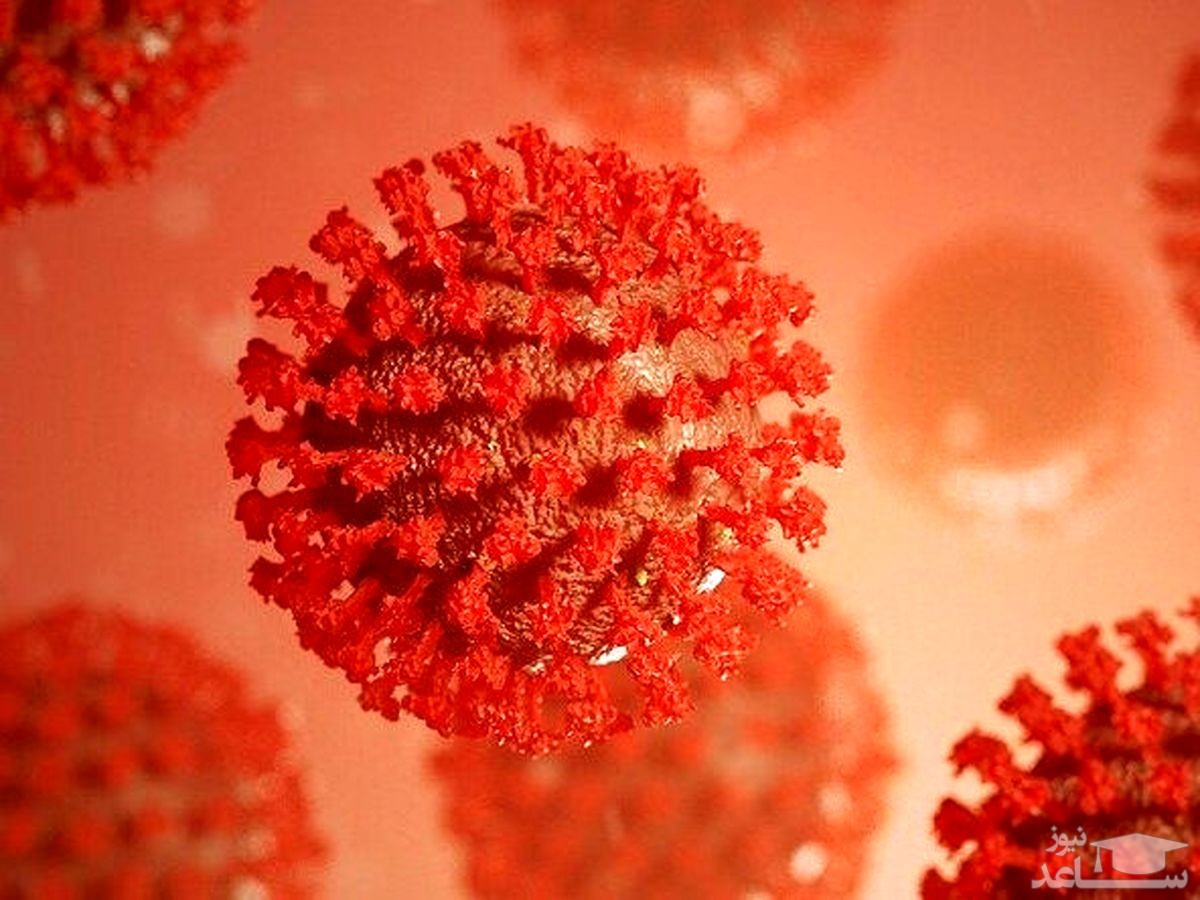 اینفوگرافیک / روند کرونا در یک ماه اخیر؛ افزایش چشمگیر