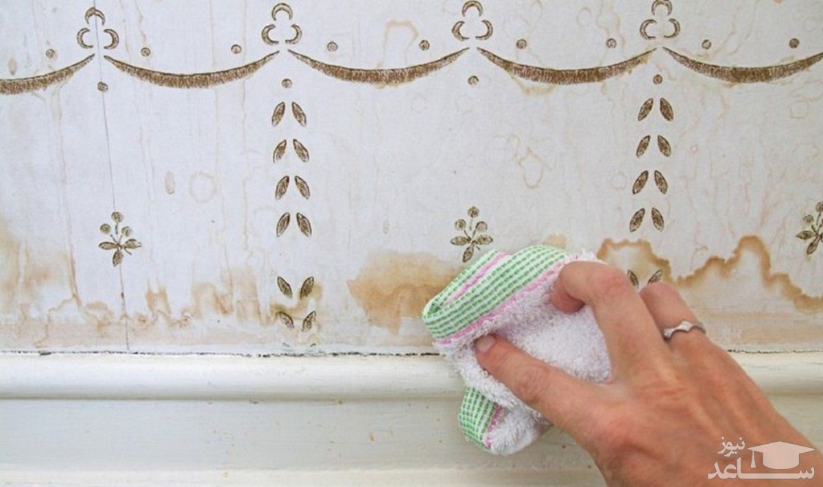 Флизелиновые можно мыть. Замаскировать пятно на стене. Обои с пятнами. Задекорировать пятно на стене. Замаскировать пятна на обоях.