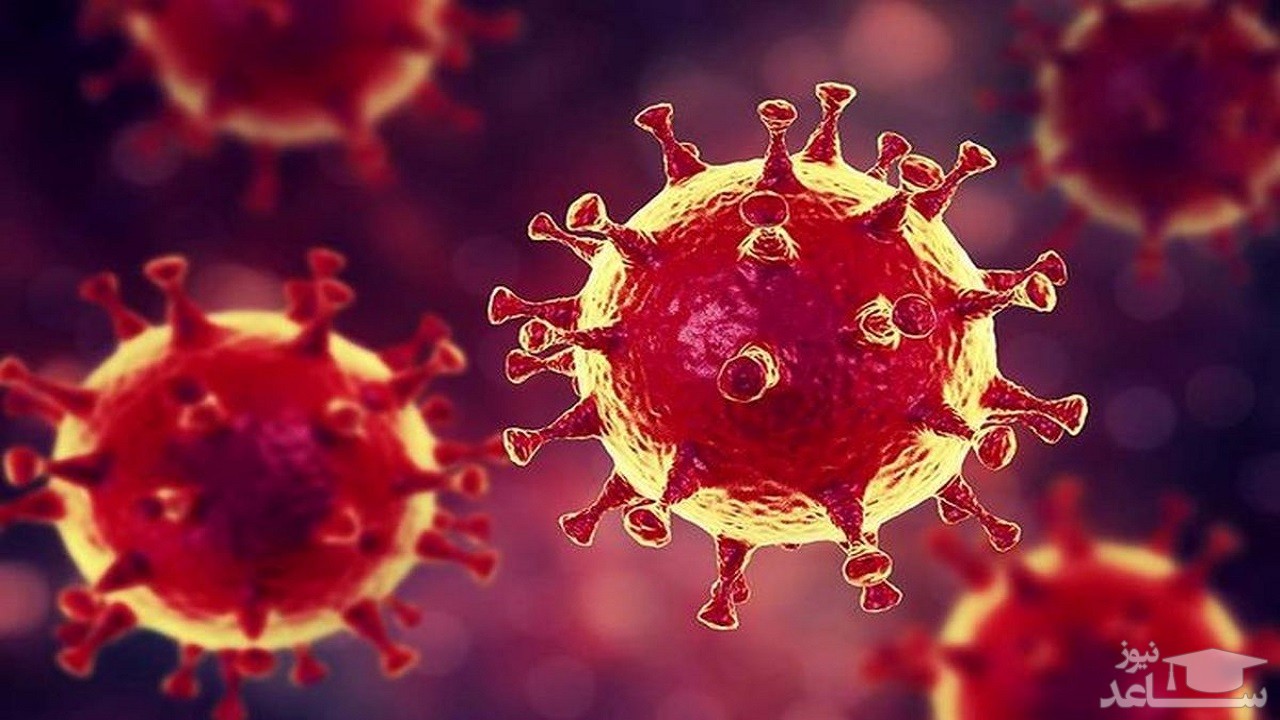 روسیه زمان پایان همه‌گیری ویروس کرونا را پیش بینی کرد