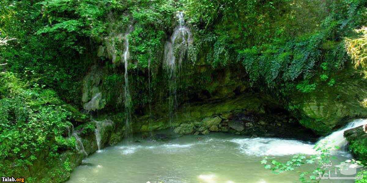 معرفی جنگل و آبشار پلنگ دره در مازندران