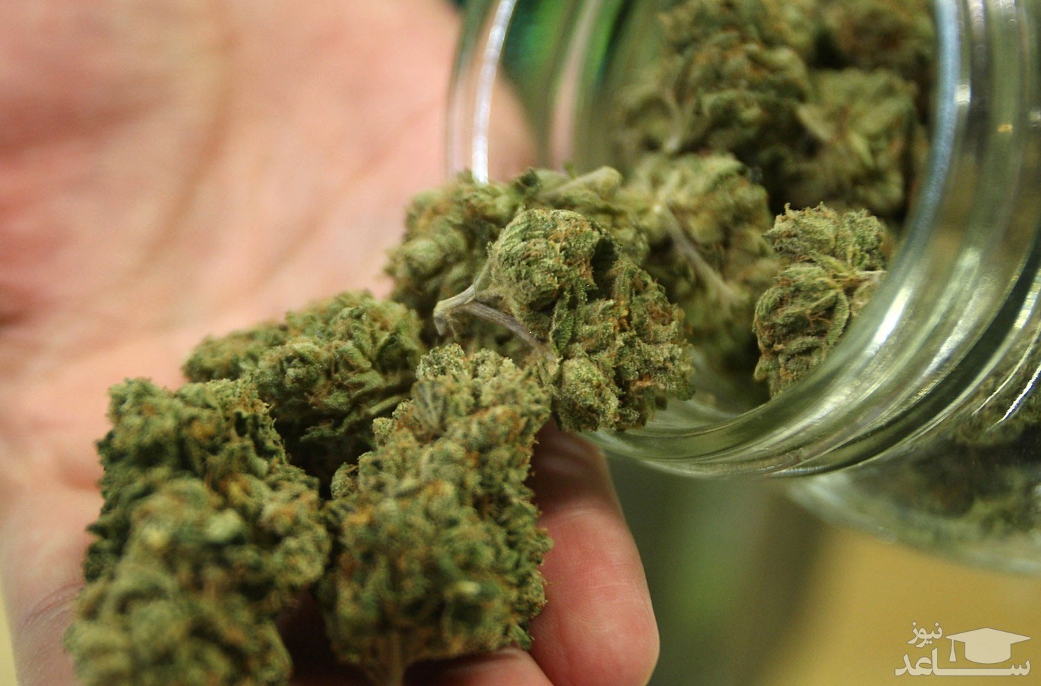 سفارش بیت کوینیِ ماری جوانا!