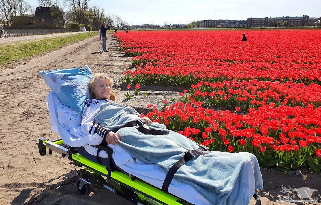 برآورده شدن آرزوهای مبتلایان به کرونا