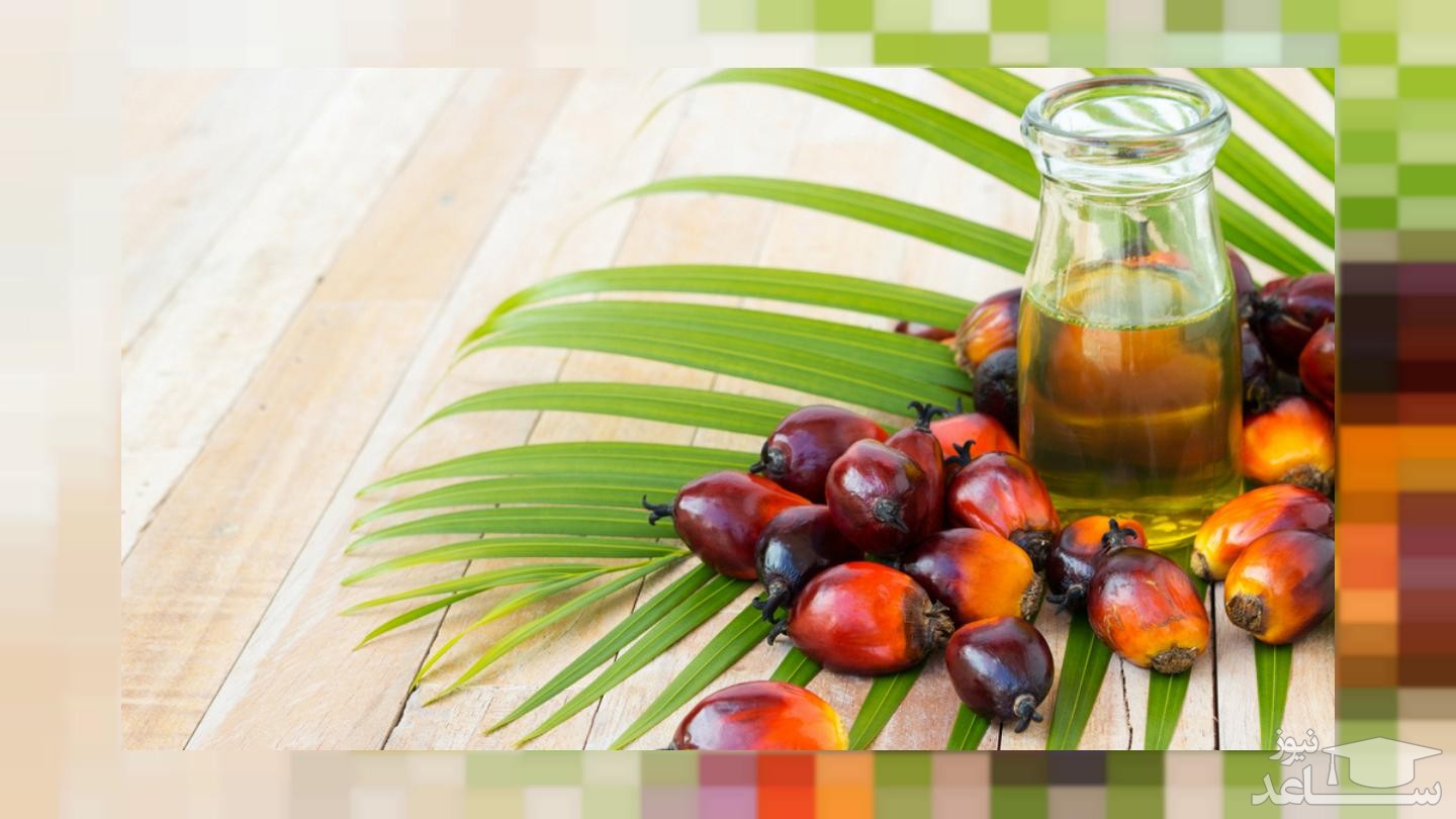آیا روغن پالم مضر است یا مفید؟