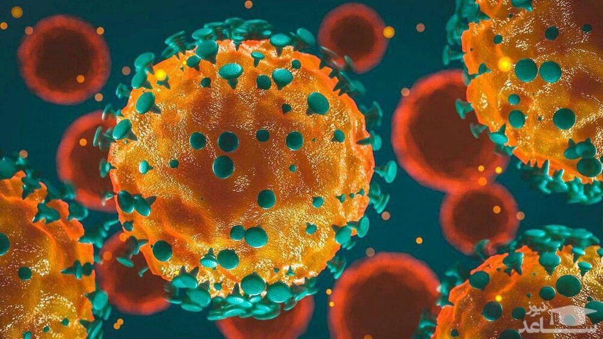 آمار کرونا در ایران و جهان (۱۳۹۹/۰۹/۱۱)