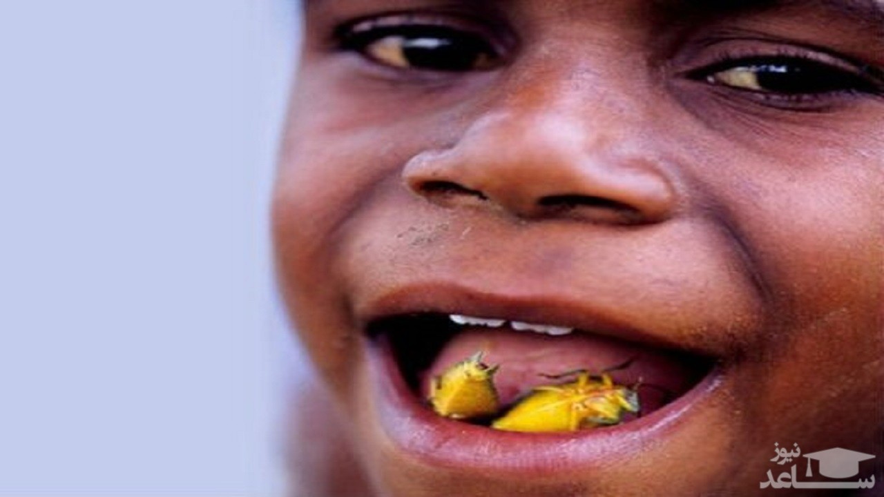 چندش‌آورترین غذا‌های دنیا را بشناسید/ از سوسیس خون تا کیک ماهی