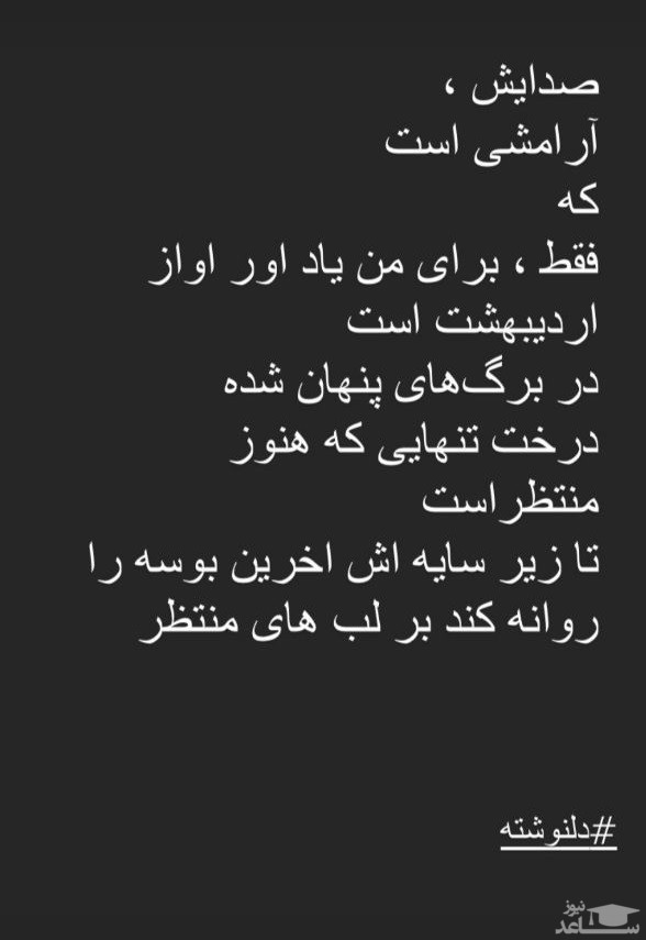 دلنوشته فرزین محدث