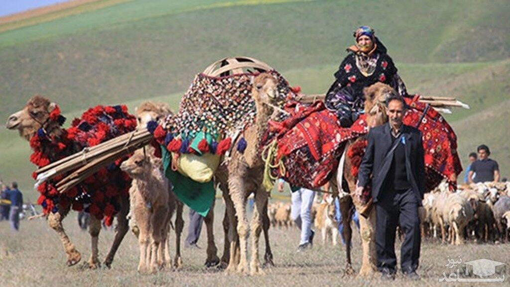 عشایر در حال مهاجرت