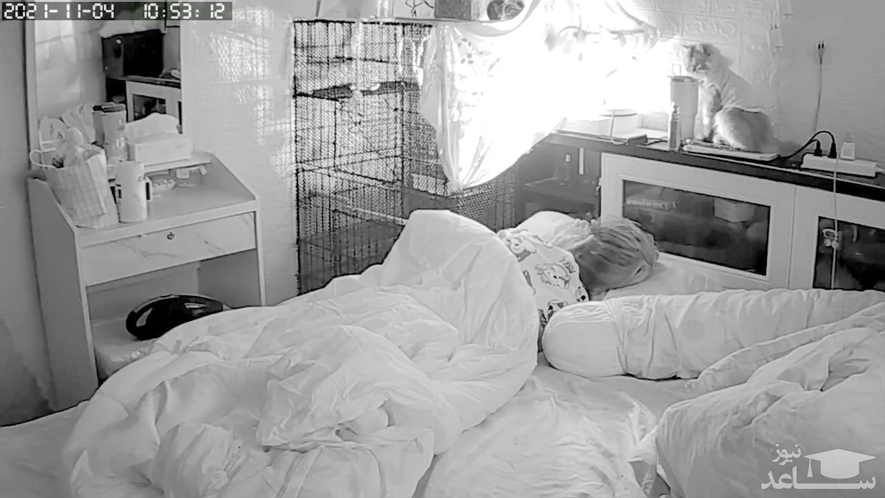 (فیلم) عاقبت نگهداری حیوانات در داخل اتاق