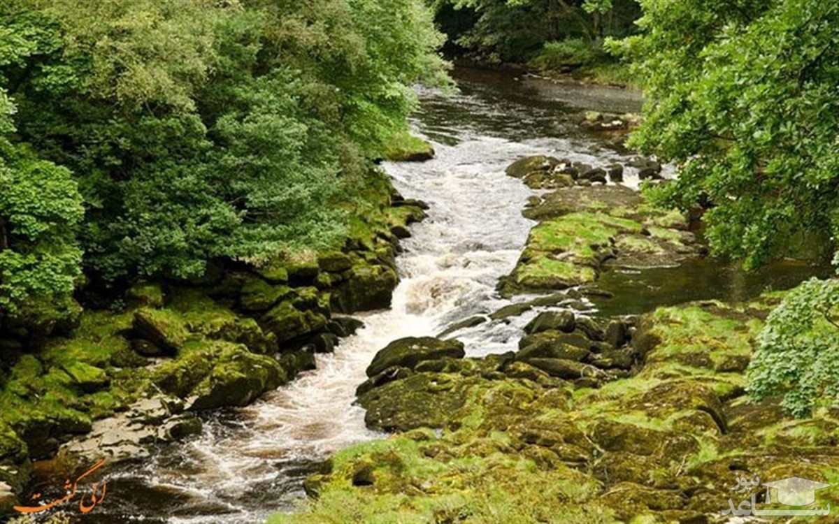رودخانه زیبایی که به شکل مرموزی افراد را به کشتن می دهد!