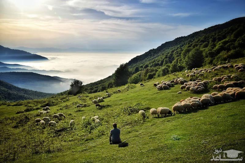 دیلمان