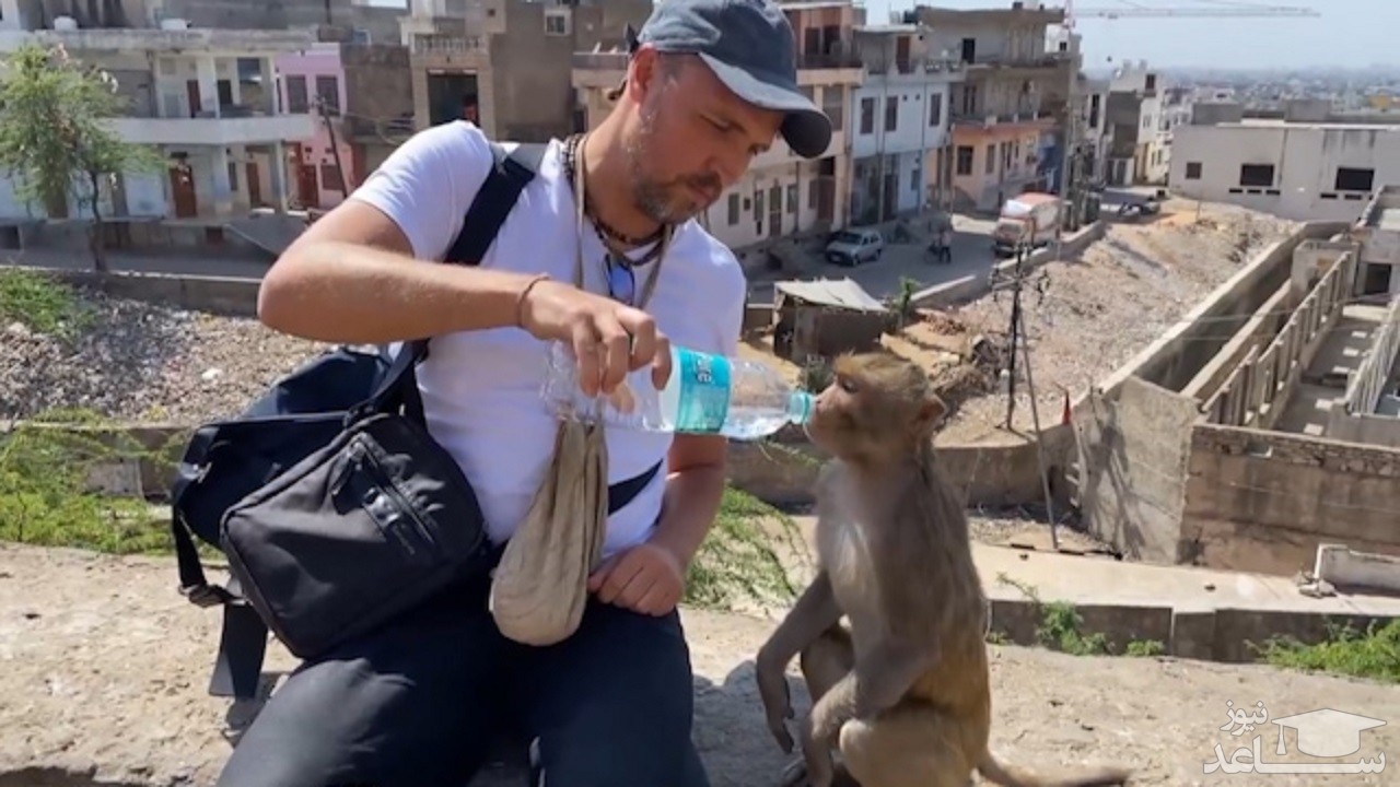 لحظات تکان دهنده درخواست کمک حیوانات از انسان