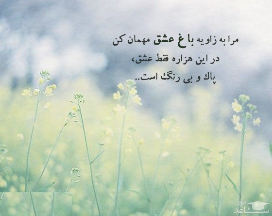 شعر سلمان هراتی