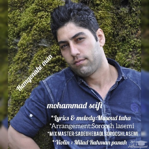 دانلود آهنگ هم گناه من از محمد سیفی