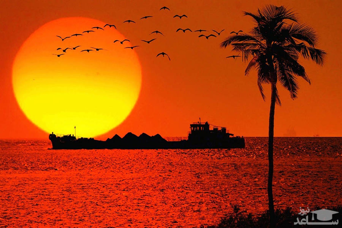 (عکس) غروب خورشید در نیویورک