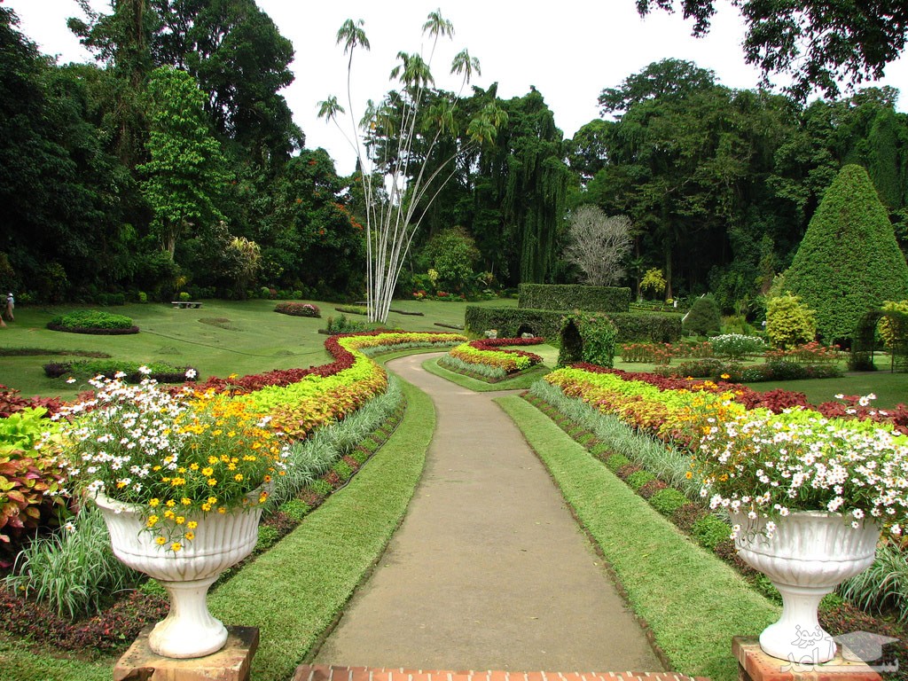 پارک ملی مالابو | The Malabo National Park