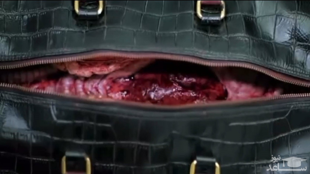 (فیلم) تبلیغ خلاقانه برای نخریدن محصولات چرم طبیعی