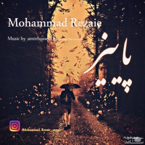 دانلود آهنگ پاییز از محمد رضایی