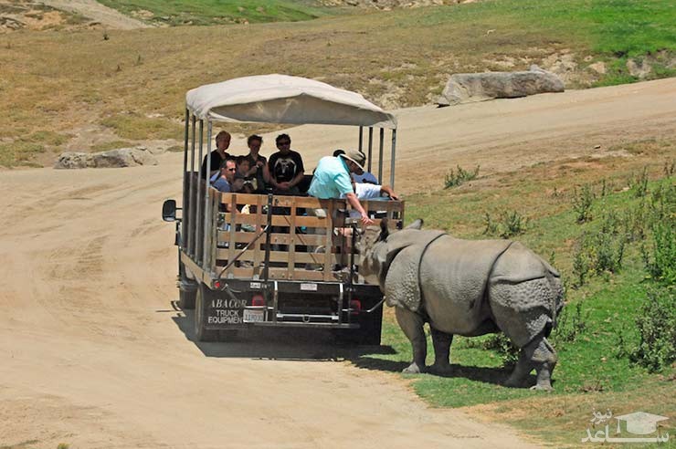 باغ وحش پارک سافاری سن دیگو