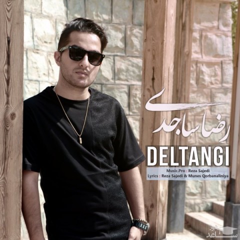دانلود آهنگ دلتنگی از رضا ساجدی