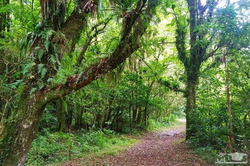 پارک ملی لا تیگرا